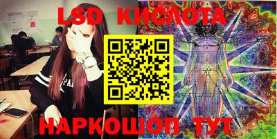 PSILOCYBIN Гатчина