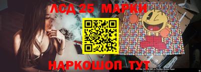 PSILOCYBIN Гатчина