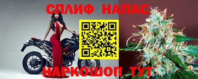 PSILOCYBIN Гатчина