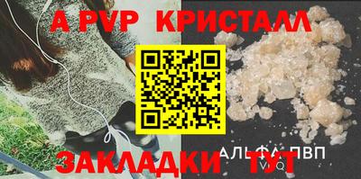 PSILOCYBIN Гатчина