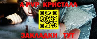 PSILOCYBIN Гатчина