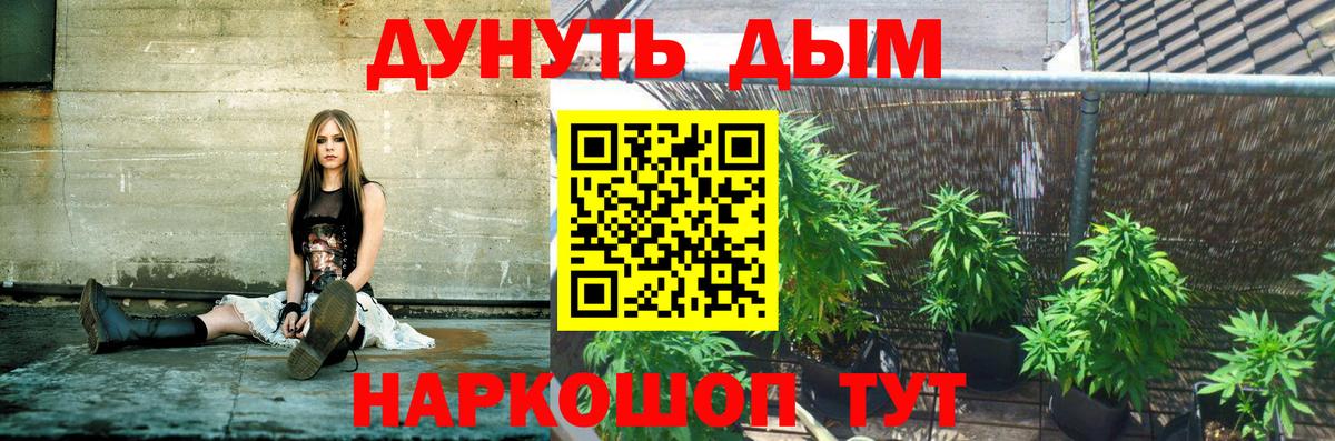 Нововоронеж  Бошки Шишки LSD WEED  Вход с VPN  Конопля тримм  Бошки Шишки сатива 